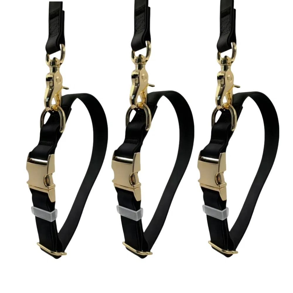 PVC Dog Collar Personalized Pet Collar with Zinc Alloy Buckle Adjustable Hunting Collar OEM/ODM Training Collar