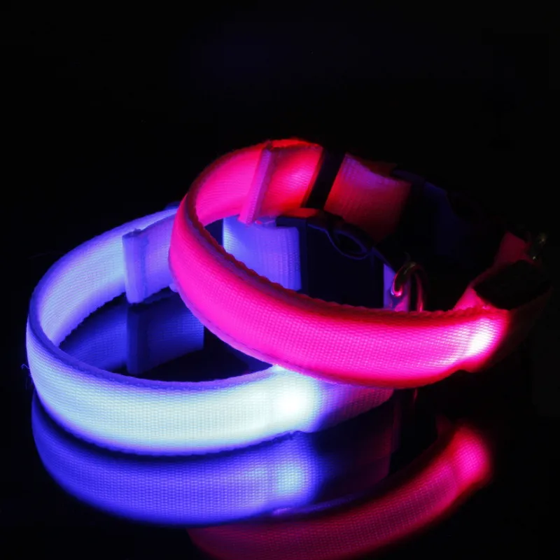 LED Collar 3