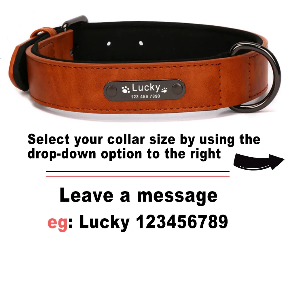 Leather Dog Collar