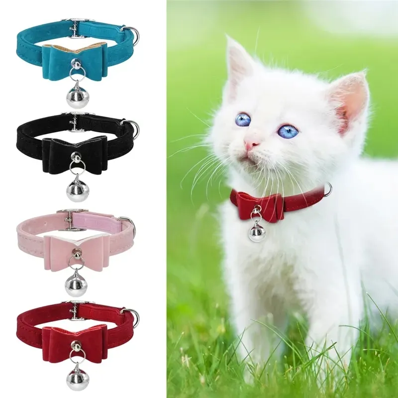 Pet Collar Product View 6