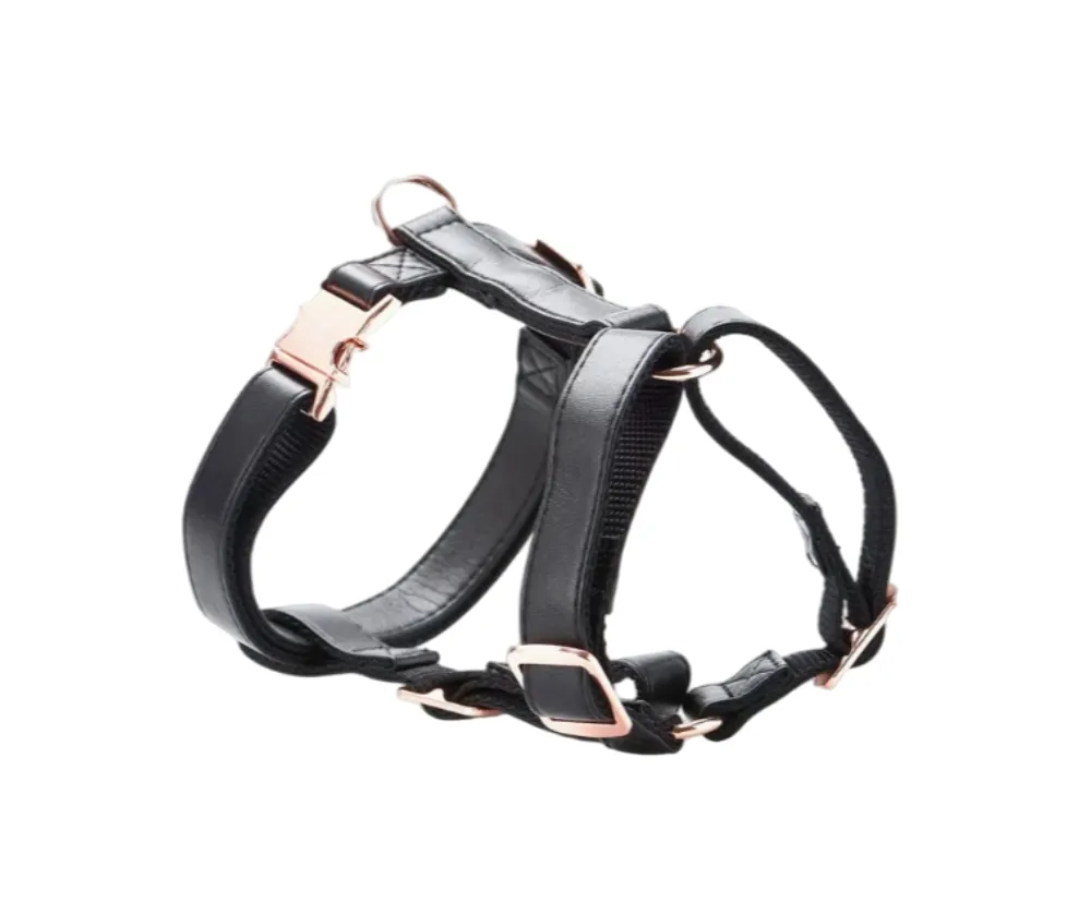 Elegant Dog Harness View 4