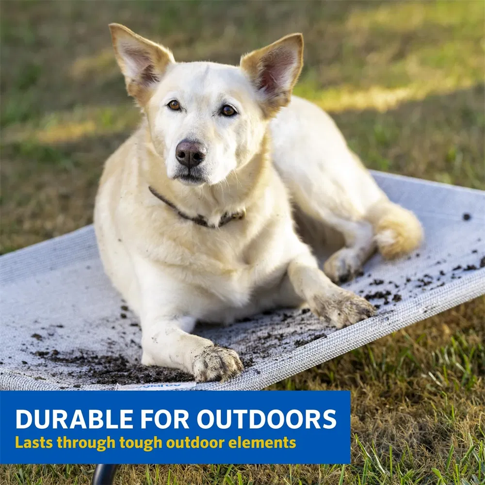 Outdoor Raised Dog Bed