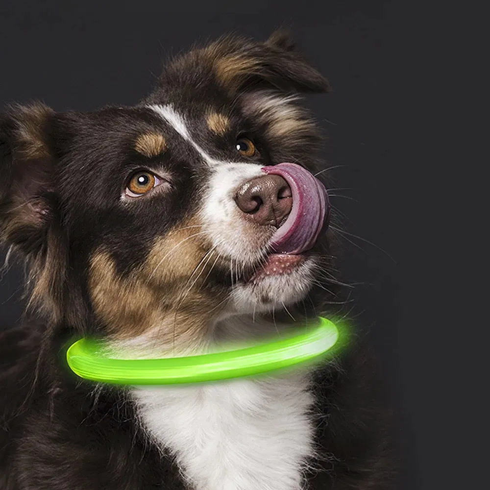 LED Luminous Collar 9