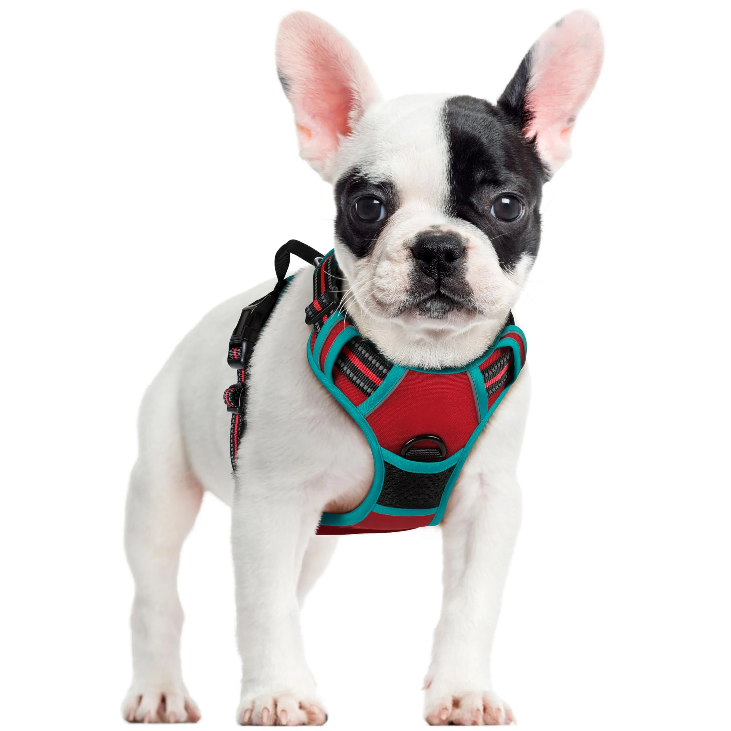 Dog Harness No Pull with 2 Leash Clips, Adjustable Soft Padded, Reflective Oxford No Choke Pet Vest with Easy Control Handle for Large Dogs