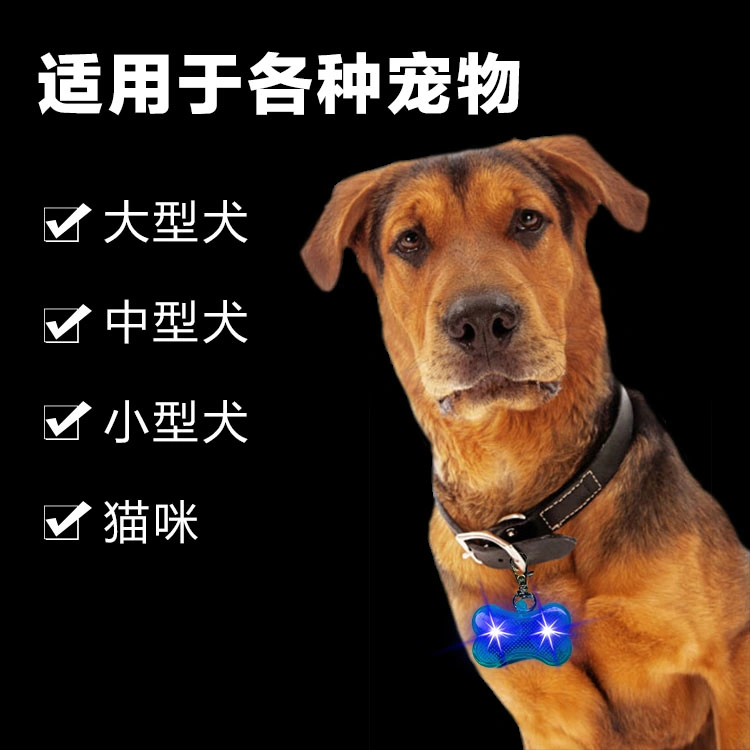 Vibrant LED Dog Bone Shaped Pendant Light for Pets