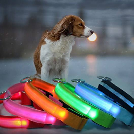 Custom Rechargeable USB LED Glow in Dark Dog Collar Adjustable Water Resistant Pet Collars for Safety Night Walking Dogs