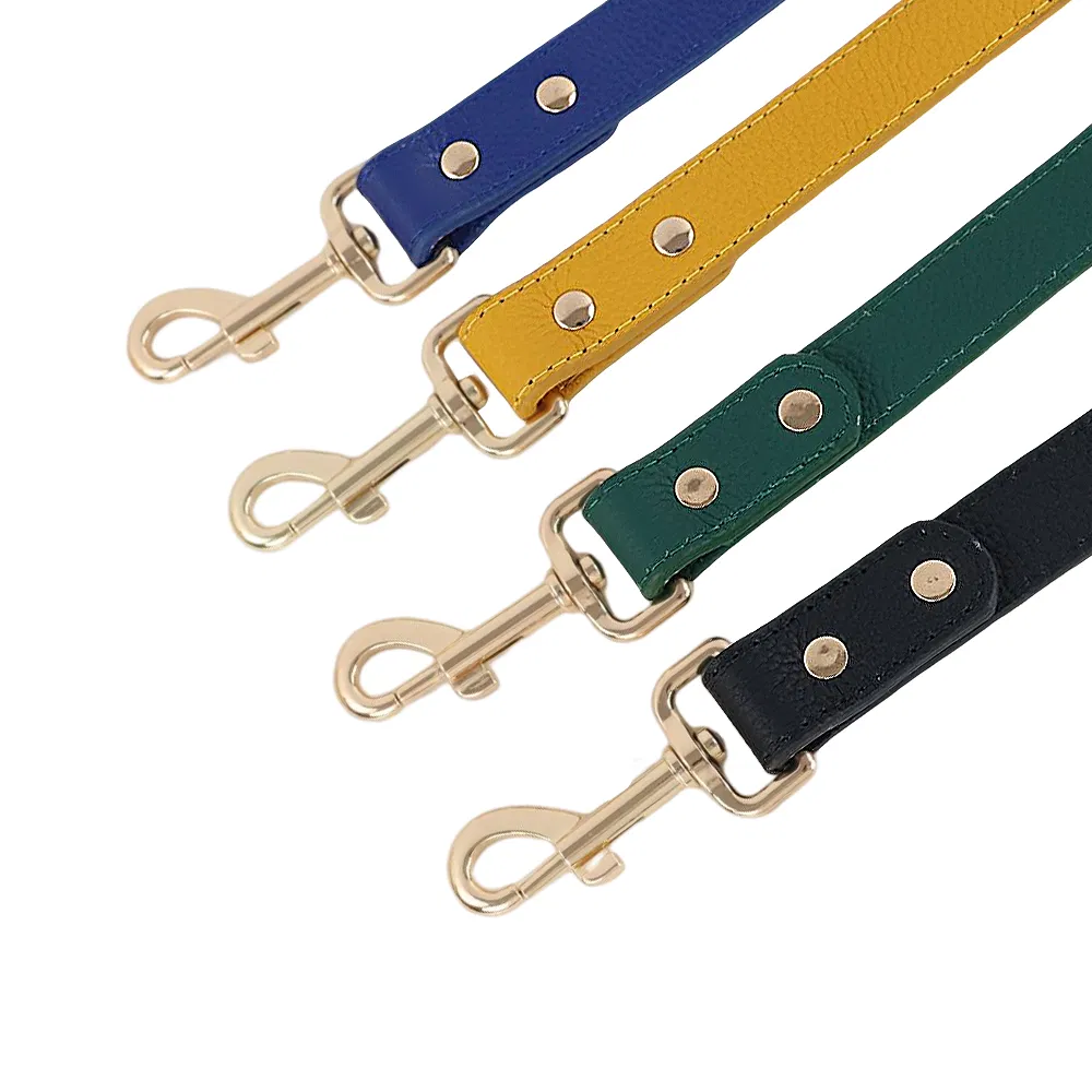 Luxury Dog Collar Detail 2