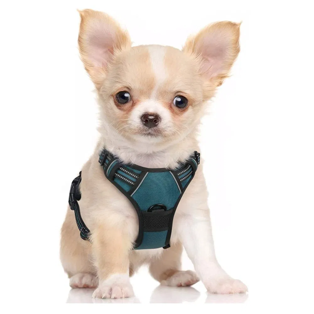 Adjustable Durable Soft Breathable Padded Dog Car Harness for Small Pets