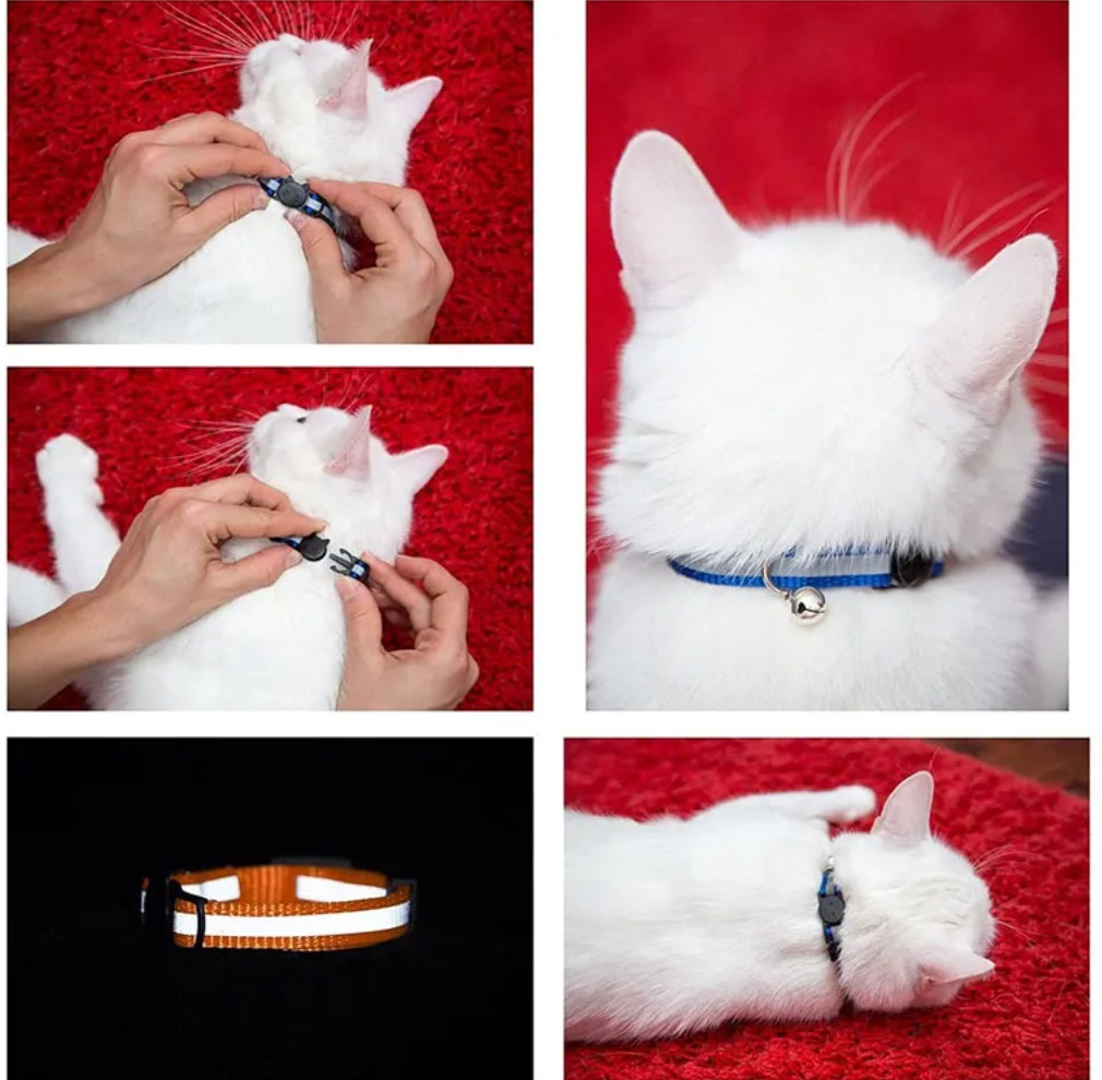 Hot Selling Breathable Dacron Cat Ear Style with Reflective Bell Adjustable for Pet Cats