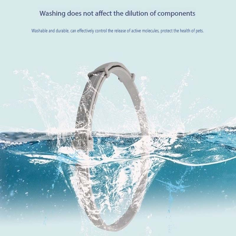 Adjustable Nylon Dog Collar Pet Products for Small and Large Dogs