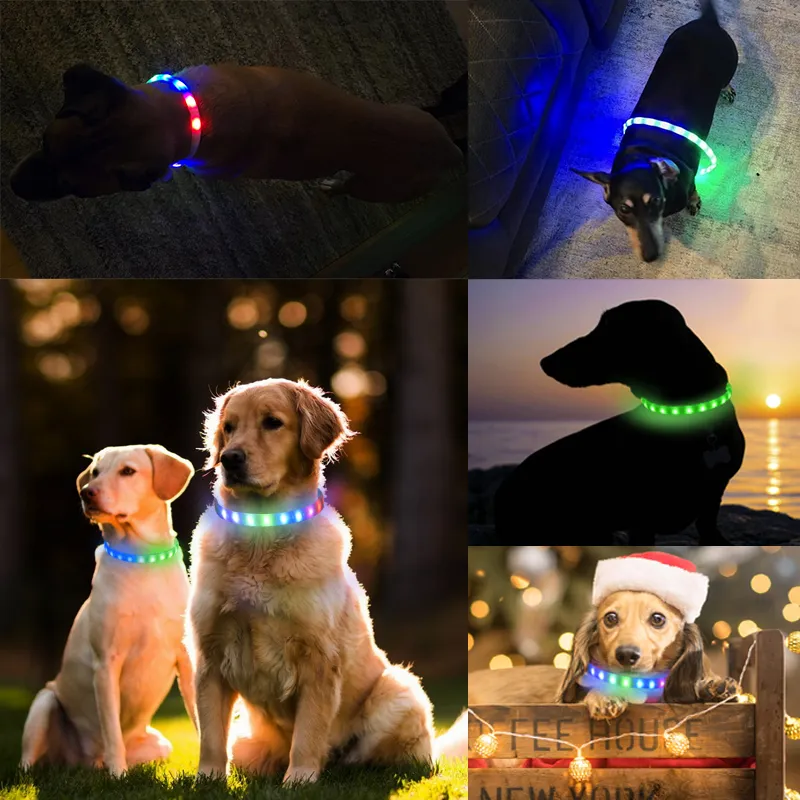 Pet Glowing Accessories 9