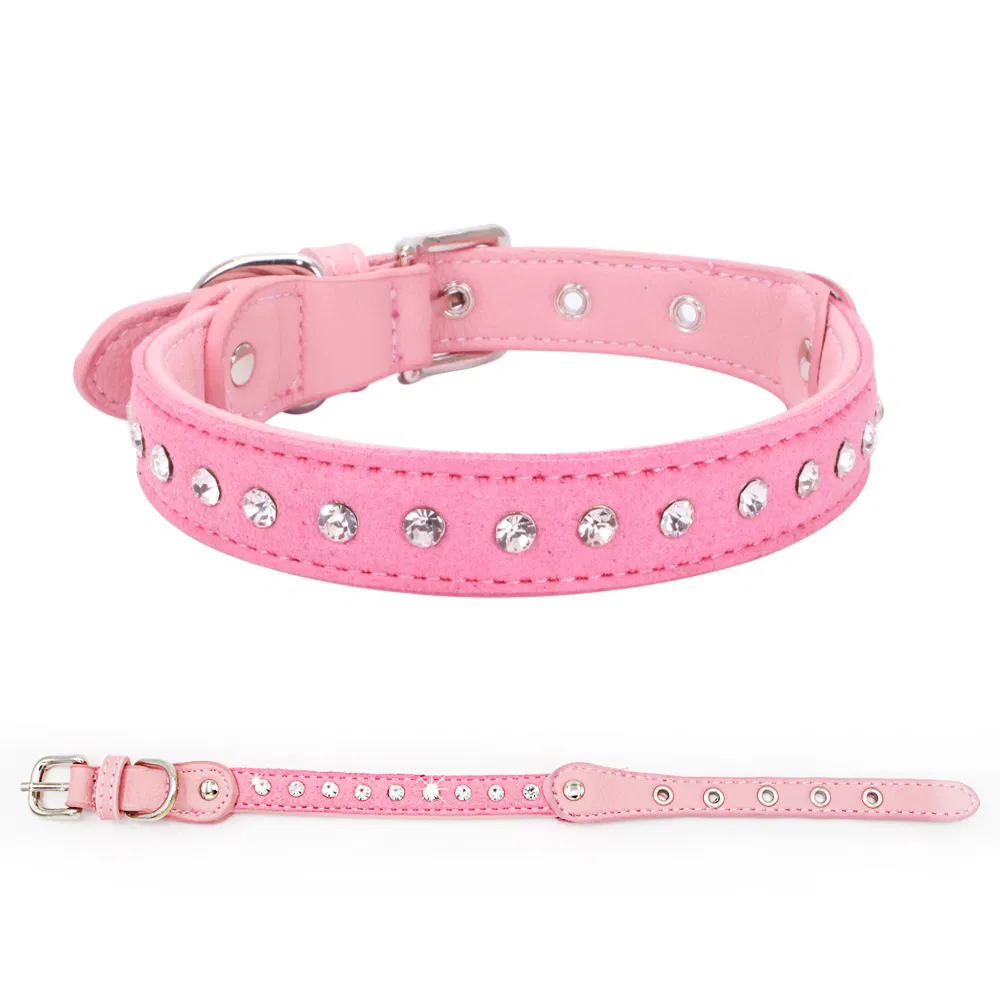 Dog Collar View 1