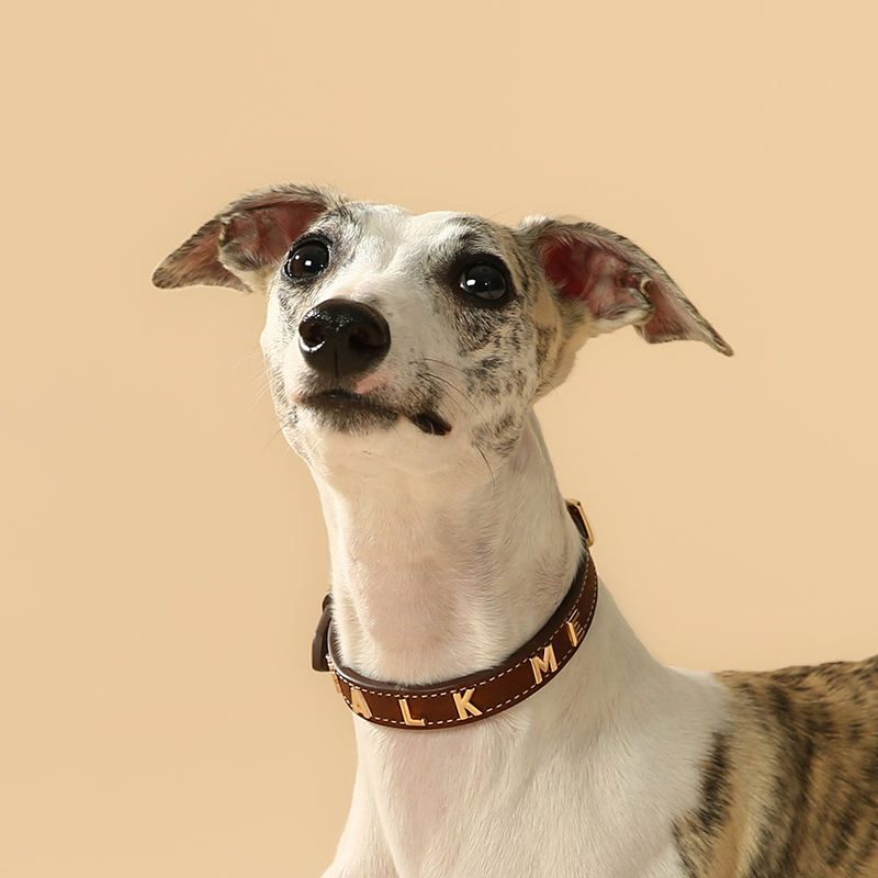 Luxury PU Leather Pet Collar Custom Colors Softly Genuine Leather Dog Collar