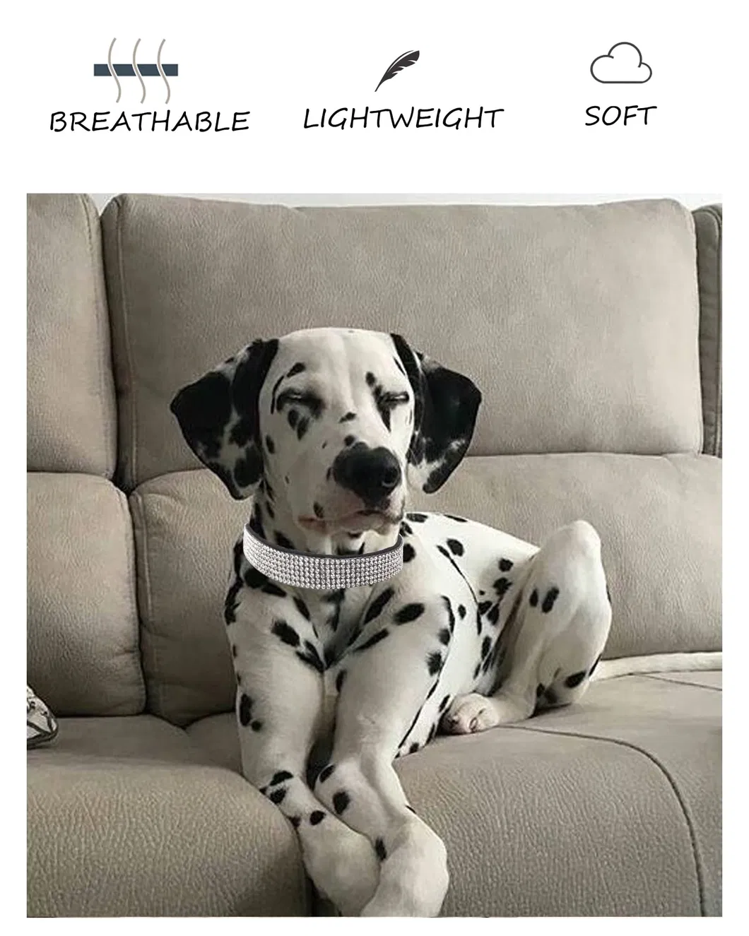 Dog Collar for Small Dogs Adjustable Leather Suede Bling Dog Collars