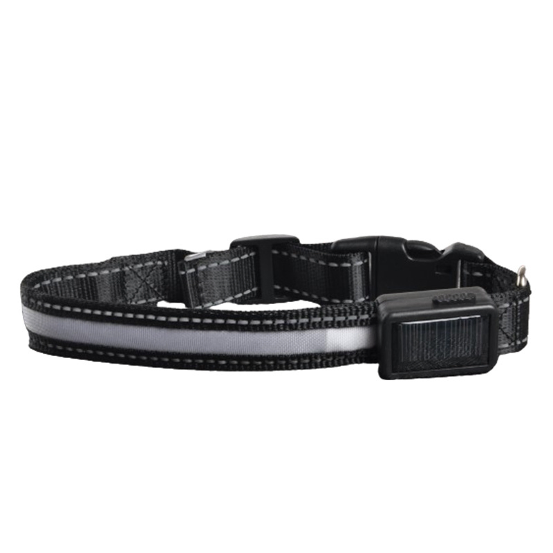 Use Solar Panel USB Charging Luminous Dog Collar Logo Adjustable Luminous Pet Nylon Dog Collar