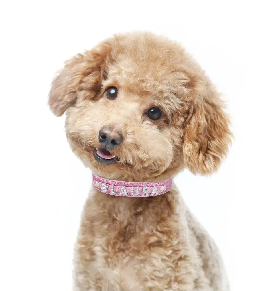 Personalized Dog Collar 6