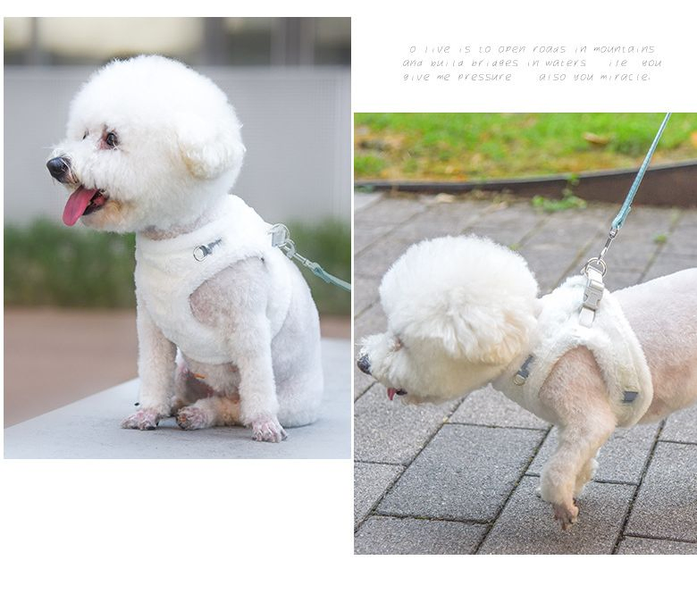 Puppy Dog Harness Vest with Leash Reflective Design Pet Chest Harness Warm