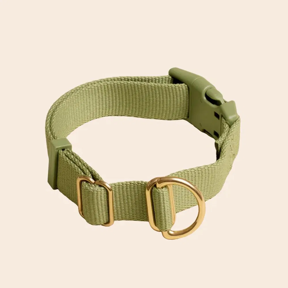 Hot Selling Premium Adjustable Stylish Durable Nylon Pet Collar Strong Safety Locking Buckles for Any Size Breed