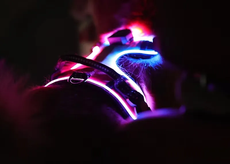LED Dog Harness Detail 3