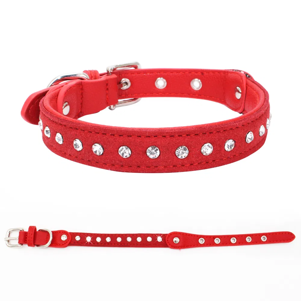Dog Collar View 3