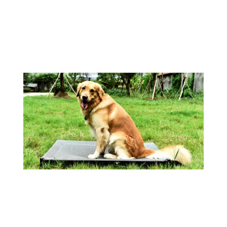 Raised Pet Foldable Outdoor Waterproof Elevated Pet Dog Bed