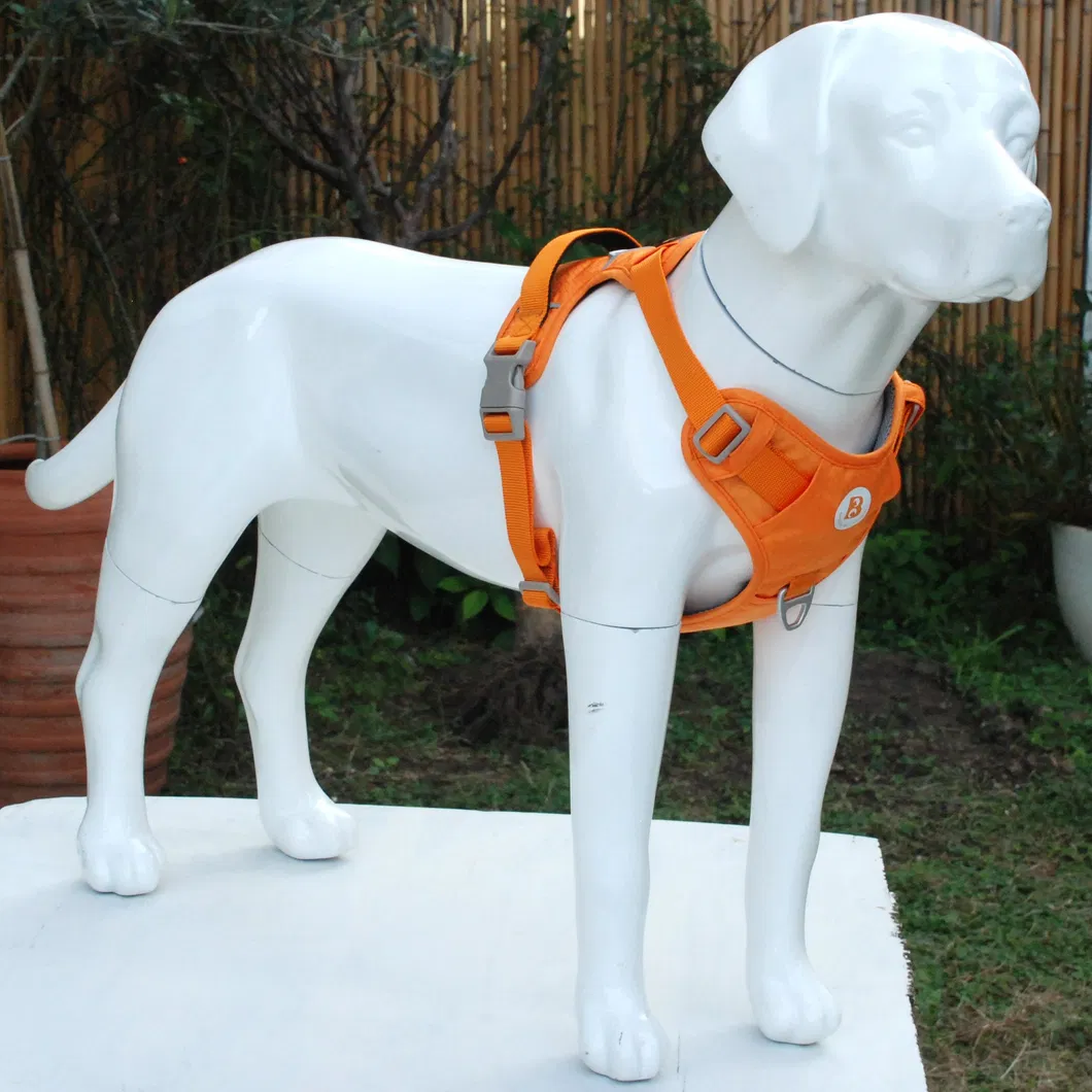 Dog Harness Detail 1