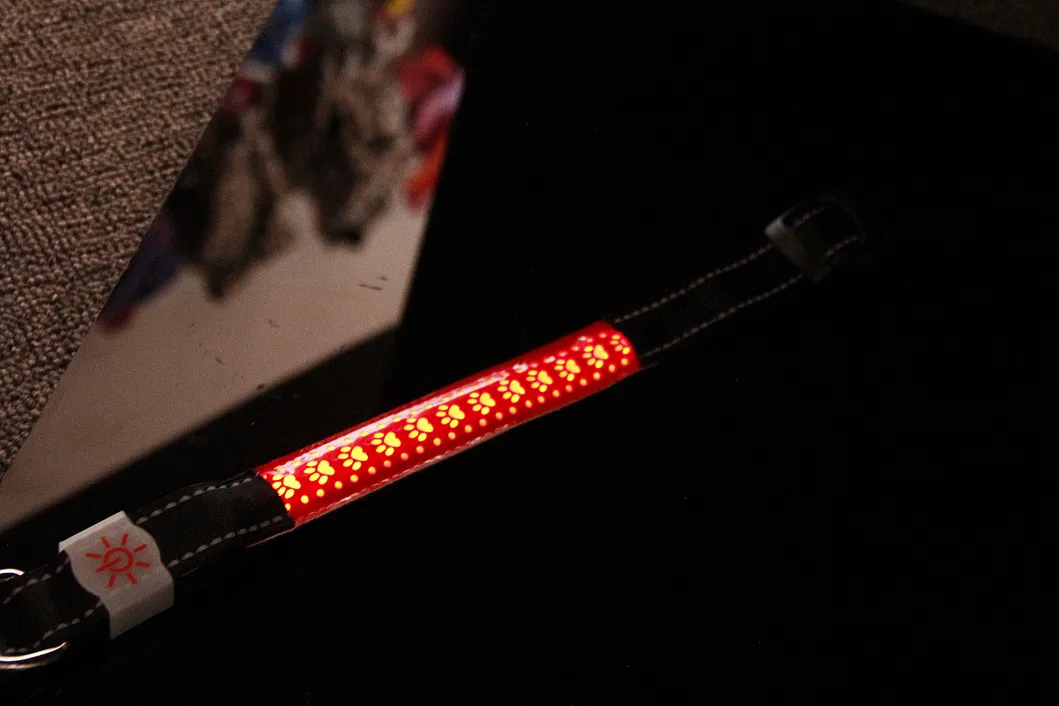 Fiber Optic Dog Collar