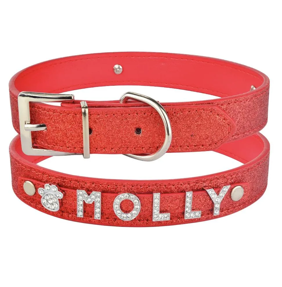 Personalized Dog Collar 4