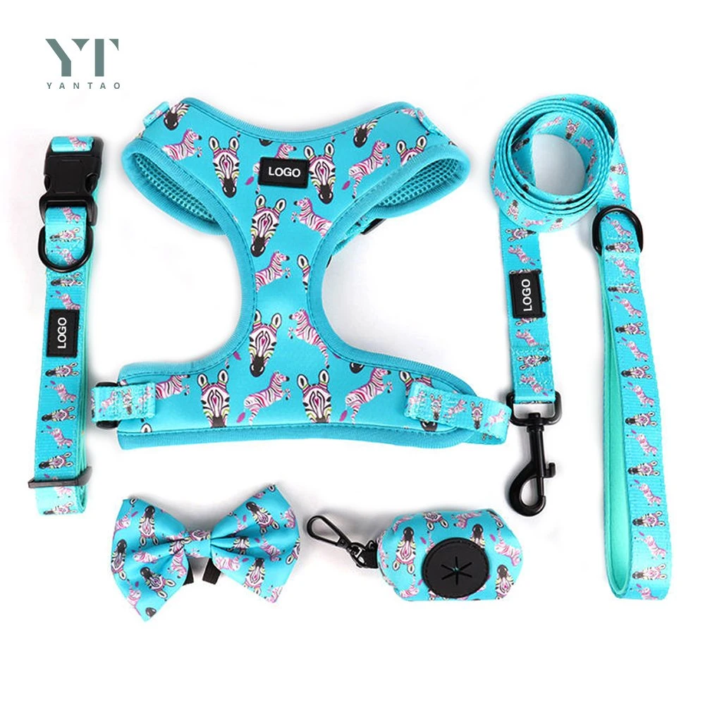 Pet Supplies Neoprene No Pull Harnesses Custom Luxury Pet Accessories Collar Custom Printed Pet Harness and Collar with Dog Bandana