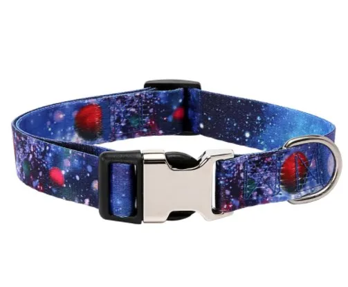 Pattern Design Dog Collar