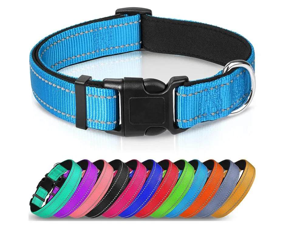 Reflective Dog Collar 6