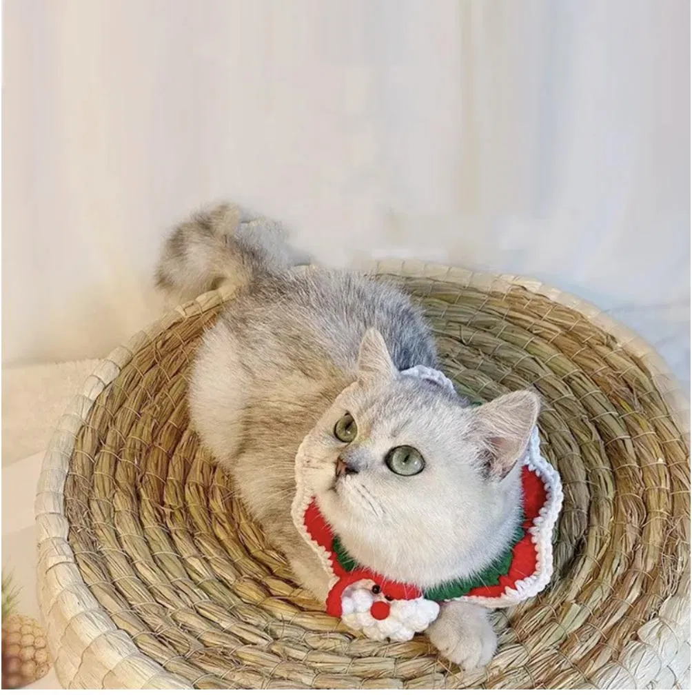 Christmas Pet Bandana 7