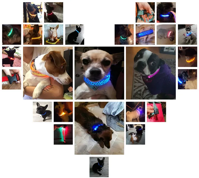 LED Dog Collar Orange