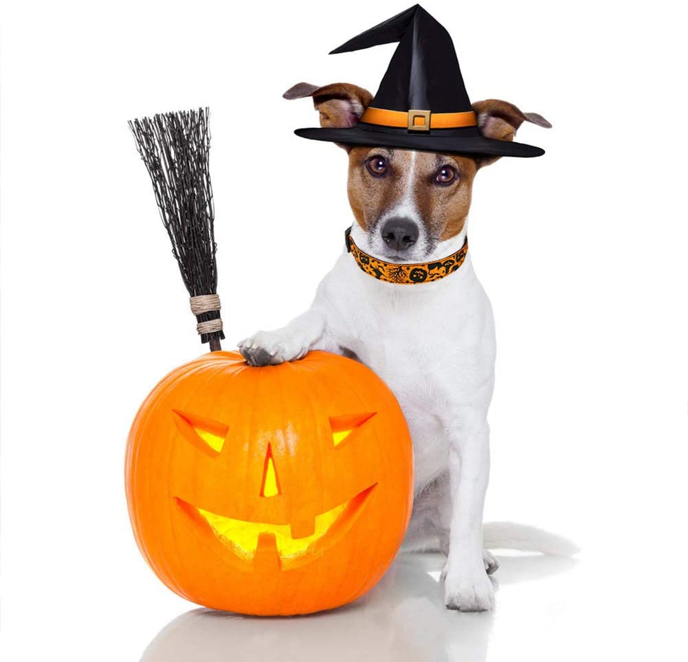 Halloween Dog Bandanas and Collars Set, Pumpkin Witch Ghost Costume Triangle Pet Scarf &amp; Collar