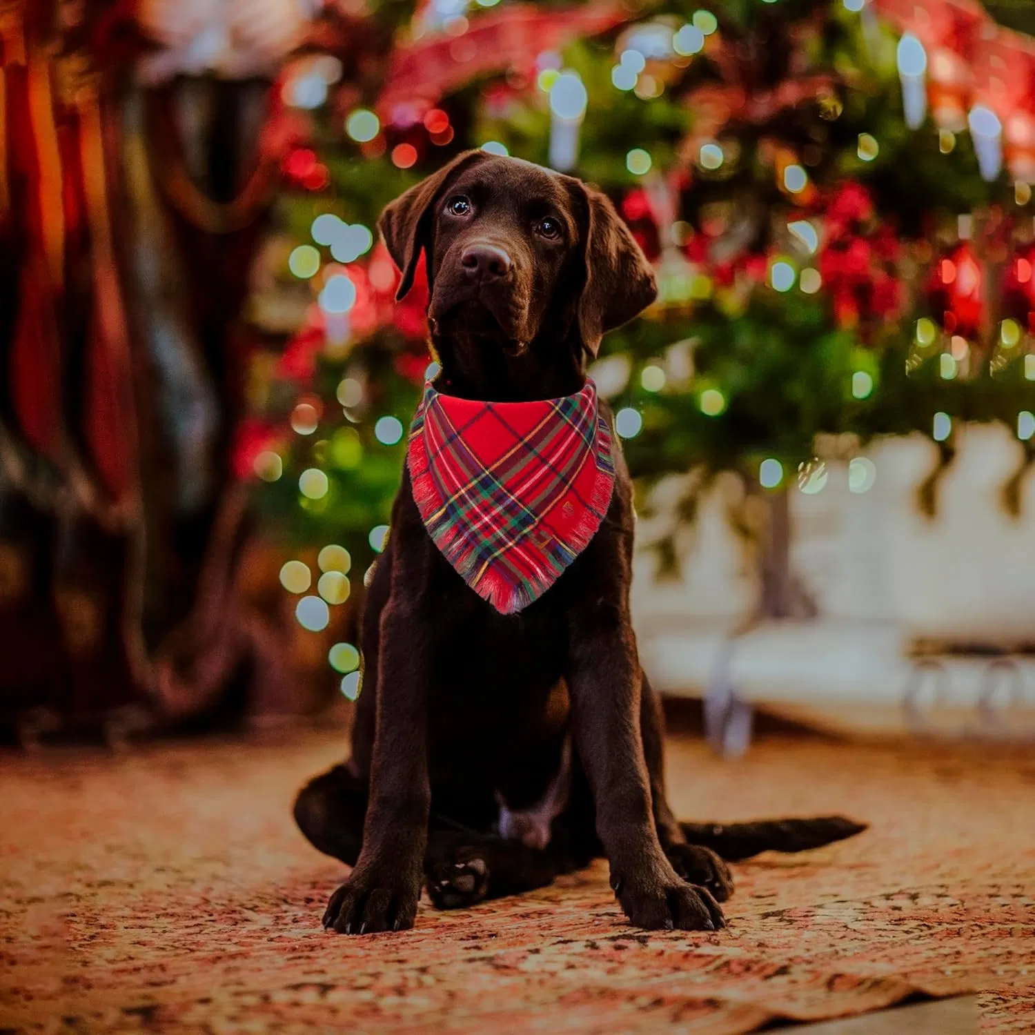 Dog Bandana Christmas with Tassels Edges, Stylish Red Green Plaid Dog Scarf Bibs Kerchief