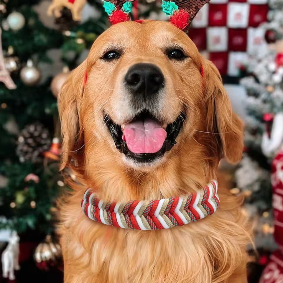 Custom Logo Handwoven Christmas Gift Decoration Waterproof Dog Collar Pet Collar Gift for Dog