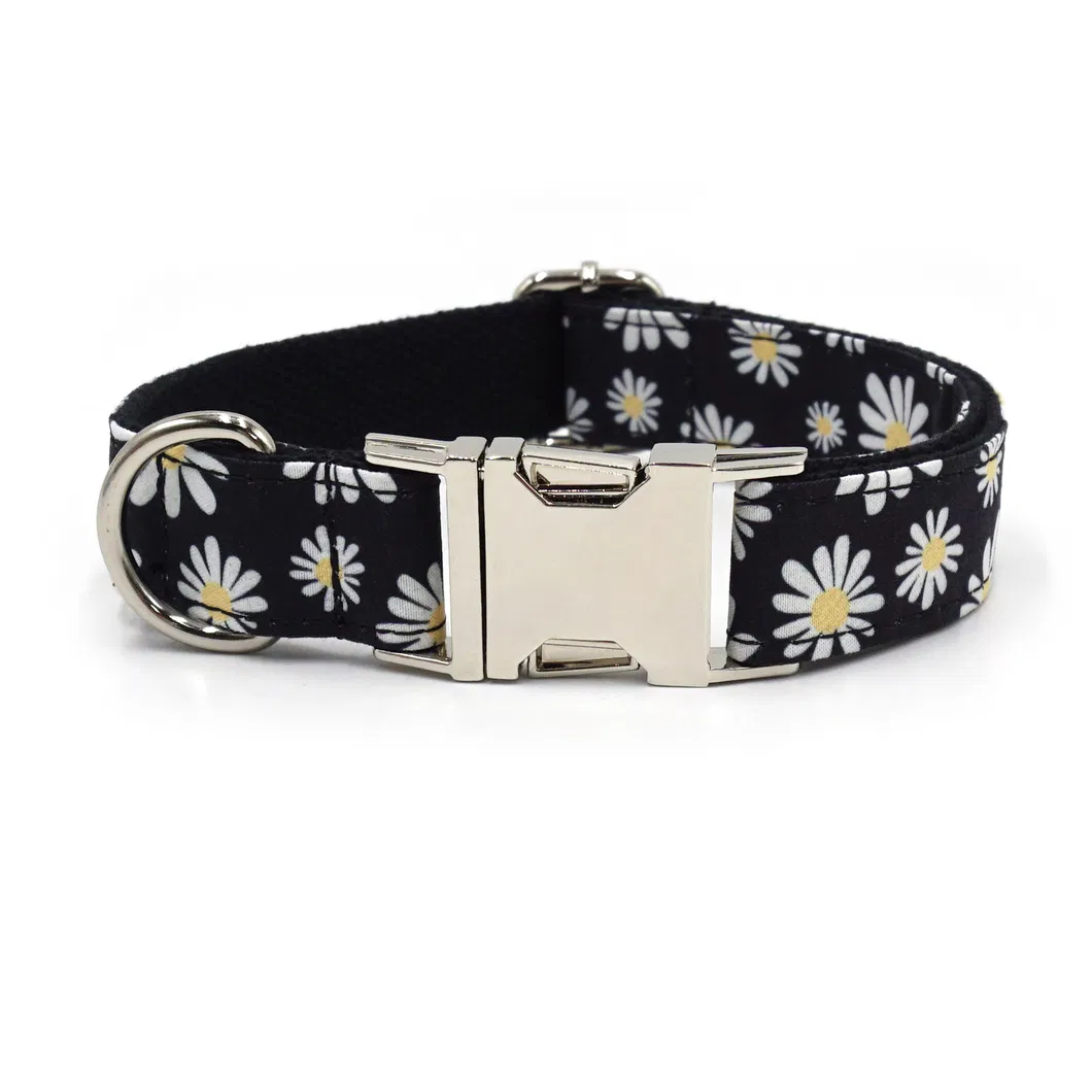 Velvet Dog Collar 16