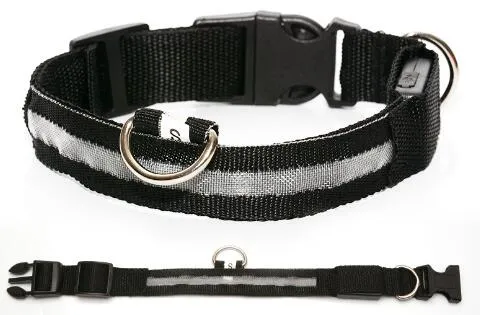 LED Dog Collar 2