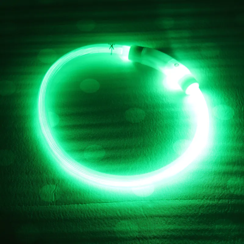 Fashion LED Dog Collar