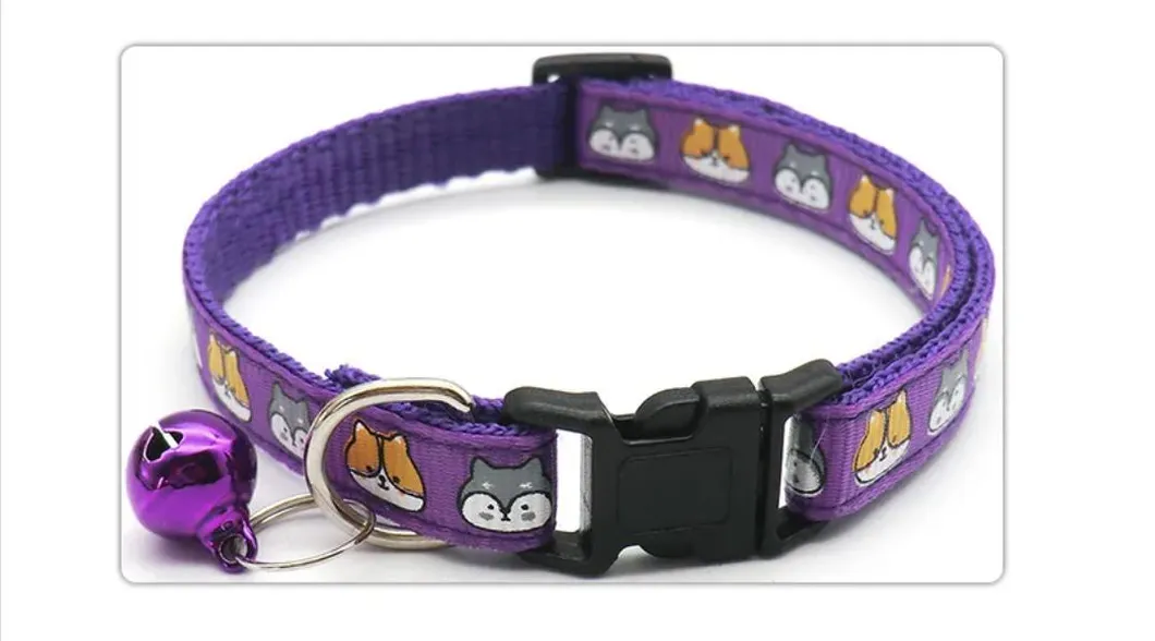 Pet Collar Group 4