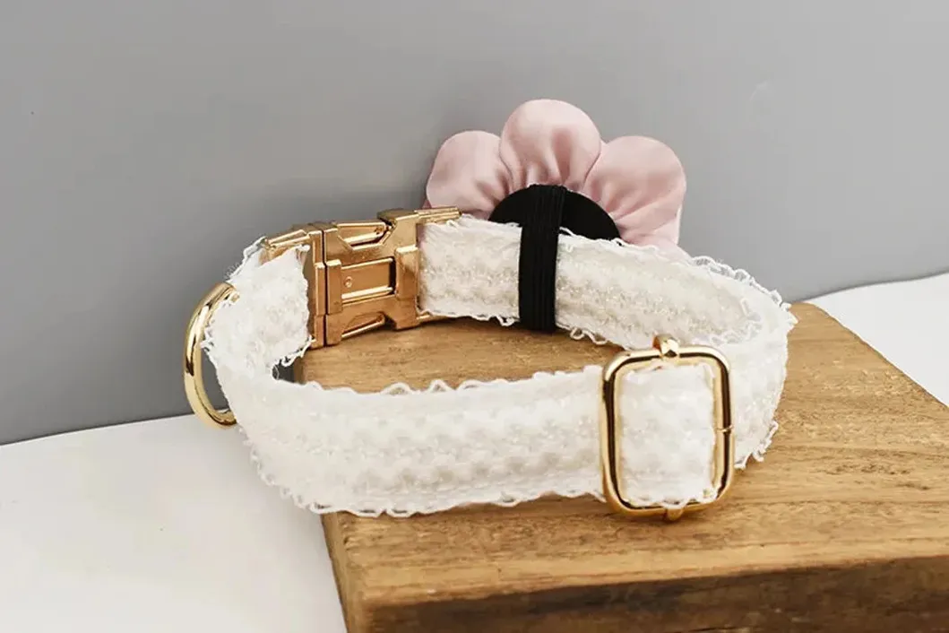 Wedding Dog Collar 8