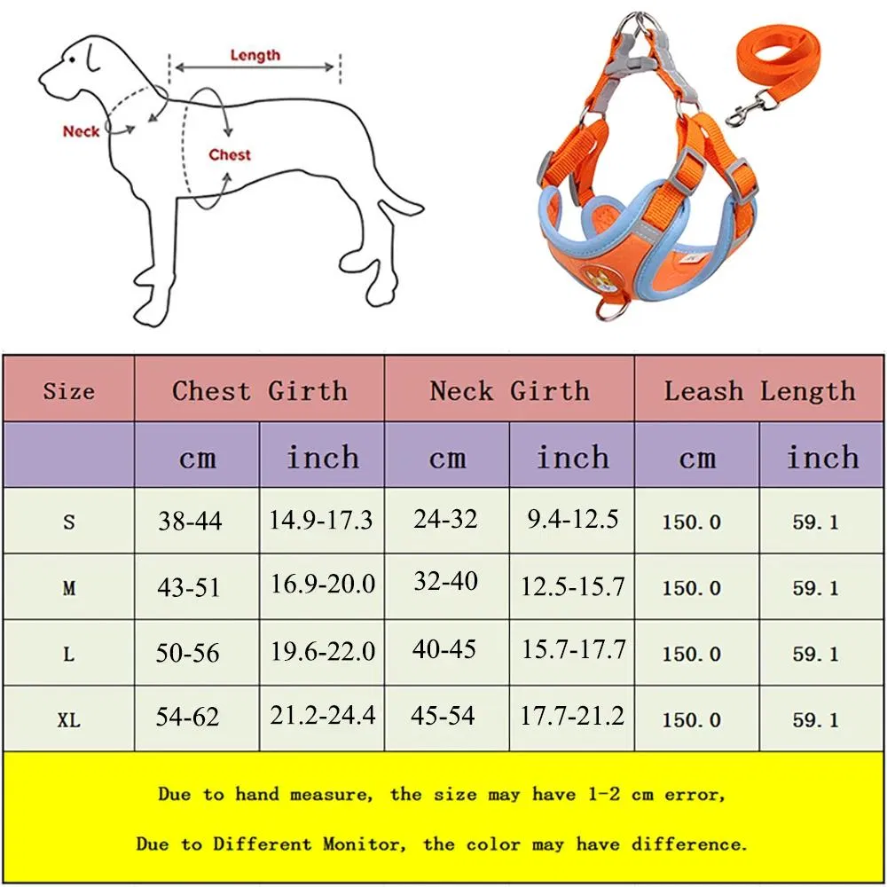 Pet Harness and Leash Set Main View