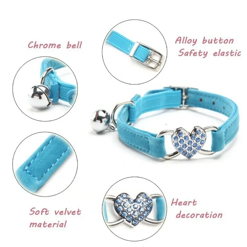 Pet Collar Collection