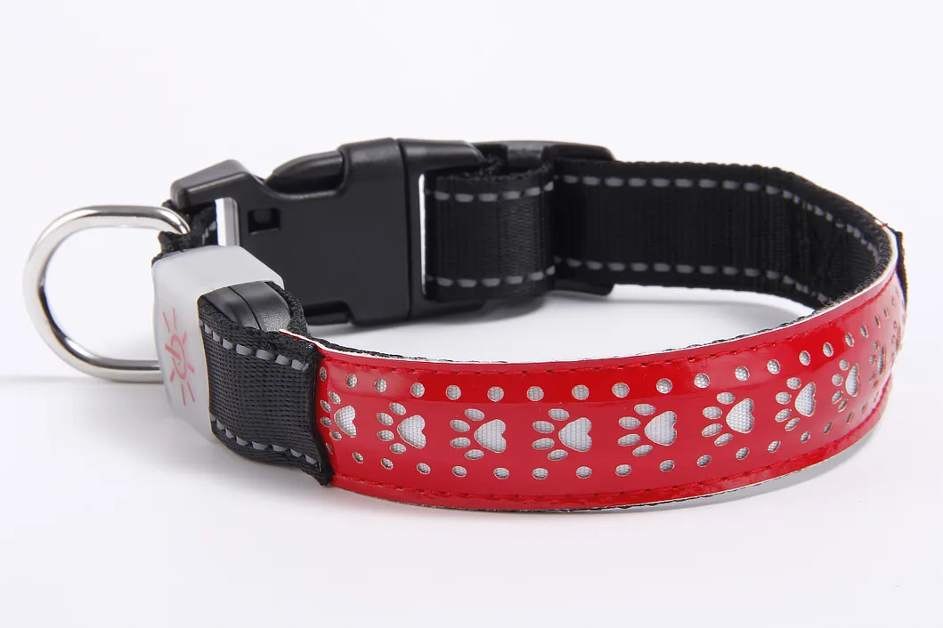 Waterproof Pet Lighting