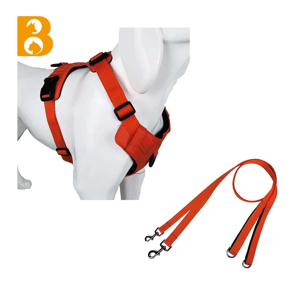 Dog Harness 1
