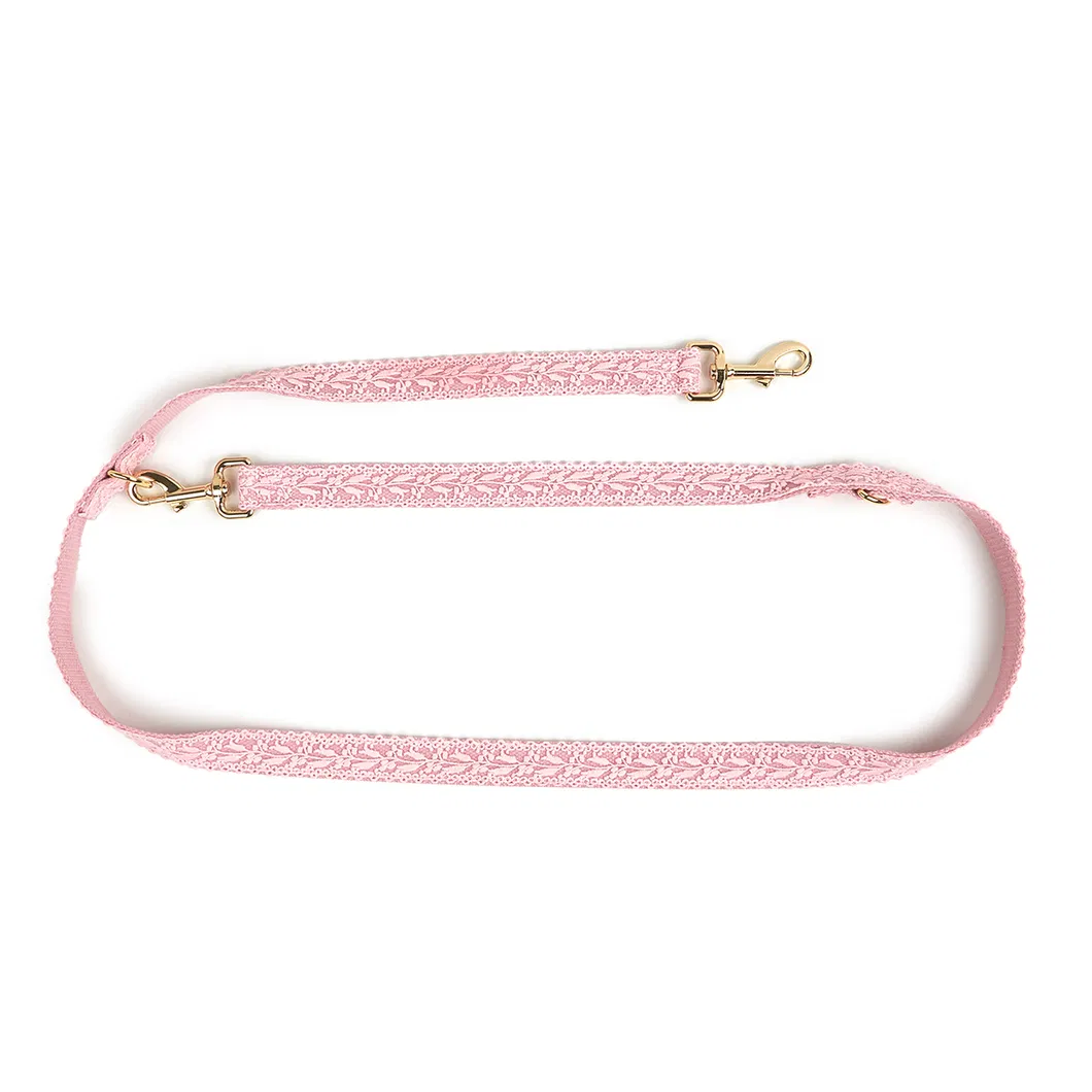 Dog Collar Detail 12