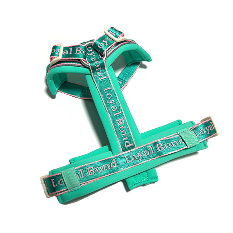 New Design Durable Lightweight Adjustable Comfort Nylon Jacquard Ribbon Y Shaped Luxury No Pull Pet Dog Harness with Soft Padding