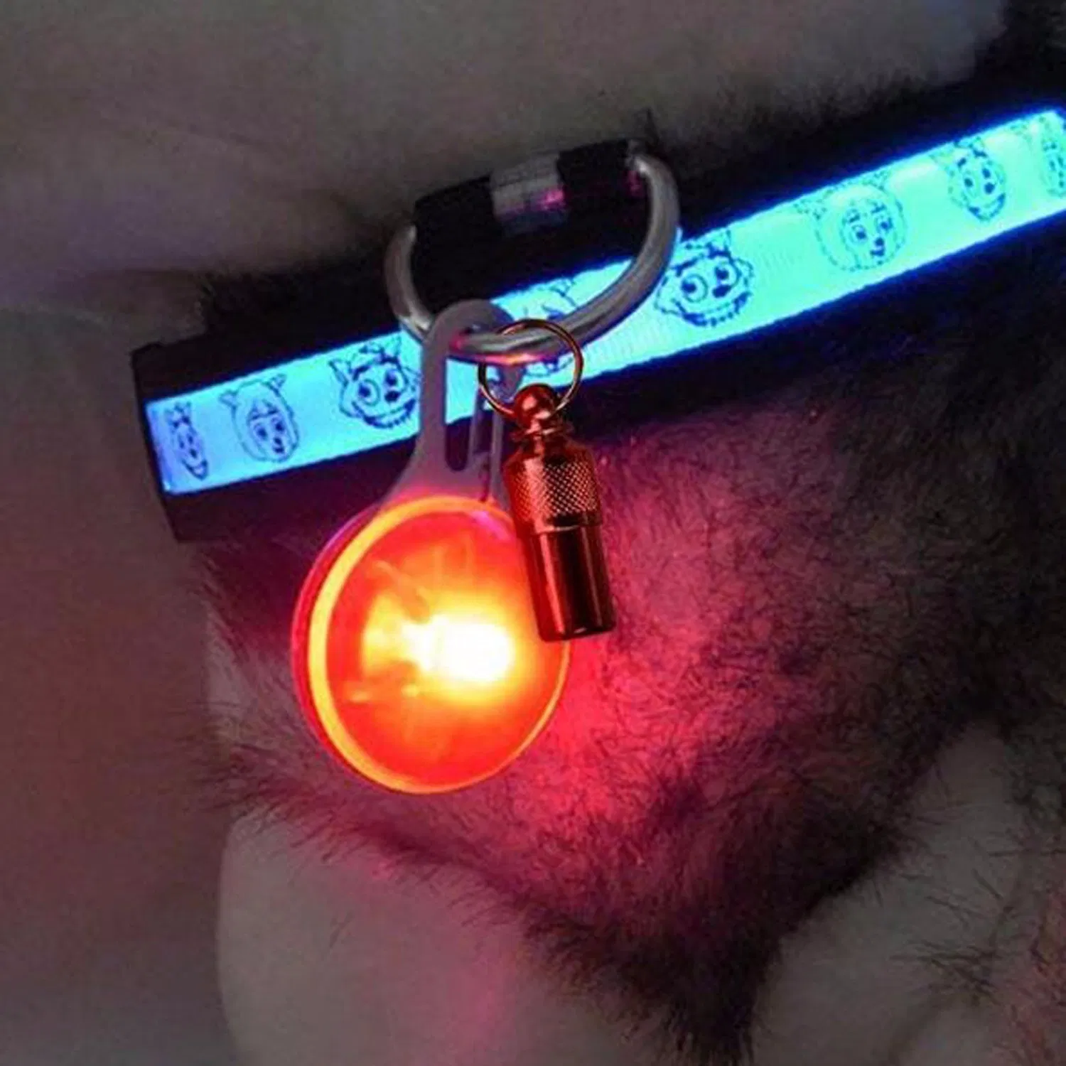 Clip-on Pet Products Dog Collar LED Light Waterproof Safety Lights