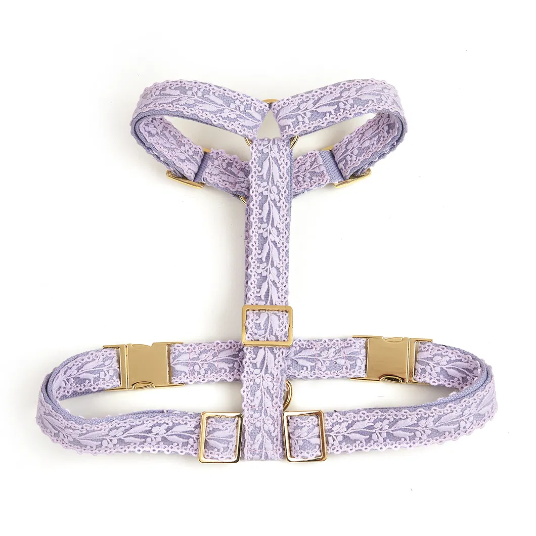 Lace Dog Collar 8