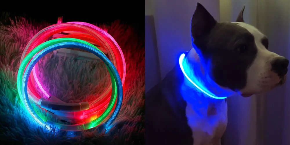 Rechargeable LED Dog Collar 3